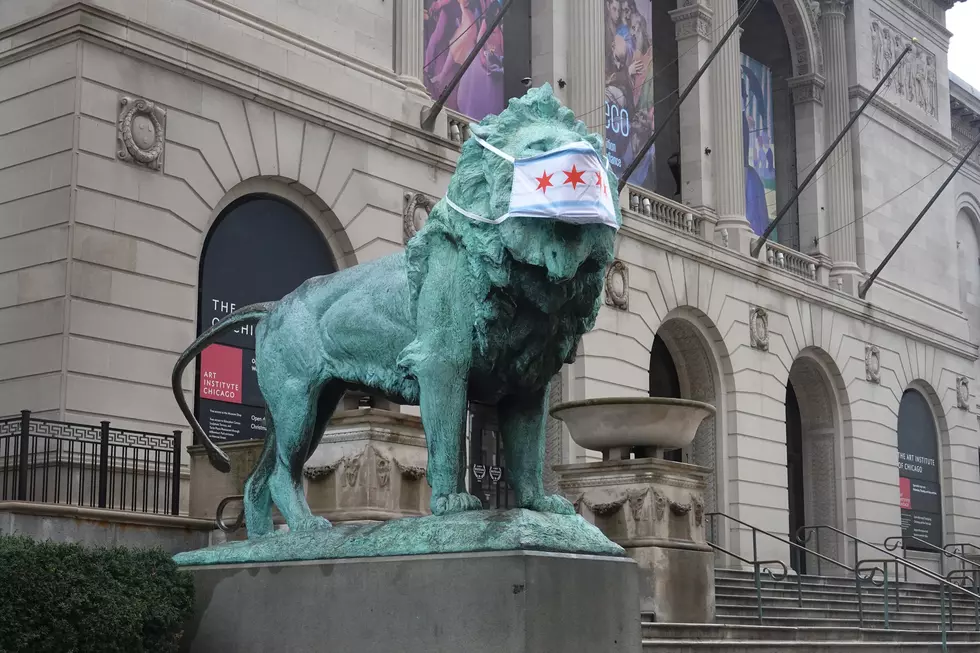 Someone Stole Face Masks From the Art Institute Lions in Chicago