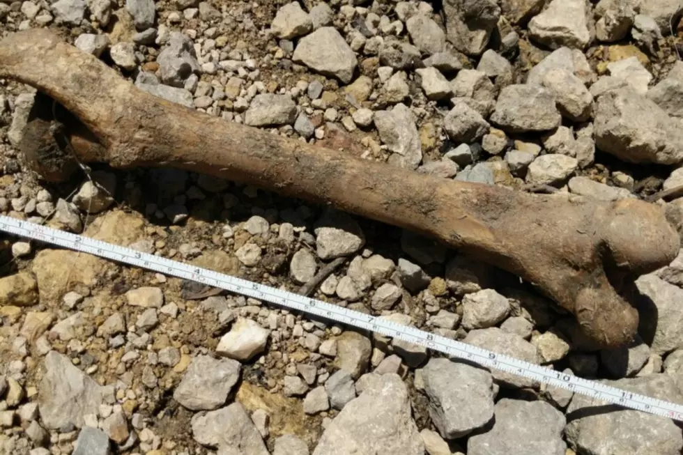 A Family May Have Caught A Human Bone While Fishing in Rockton