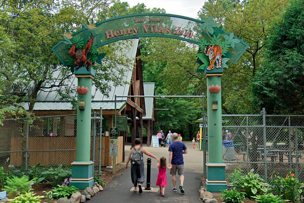 Most of Madison’s Henry Vilas Zoo Reopening This Week