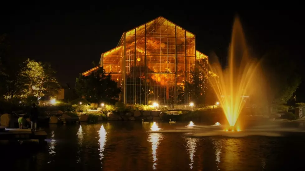 Nicholas Conservatory Goes Gold for Childhood Cancer 