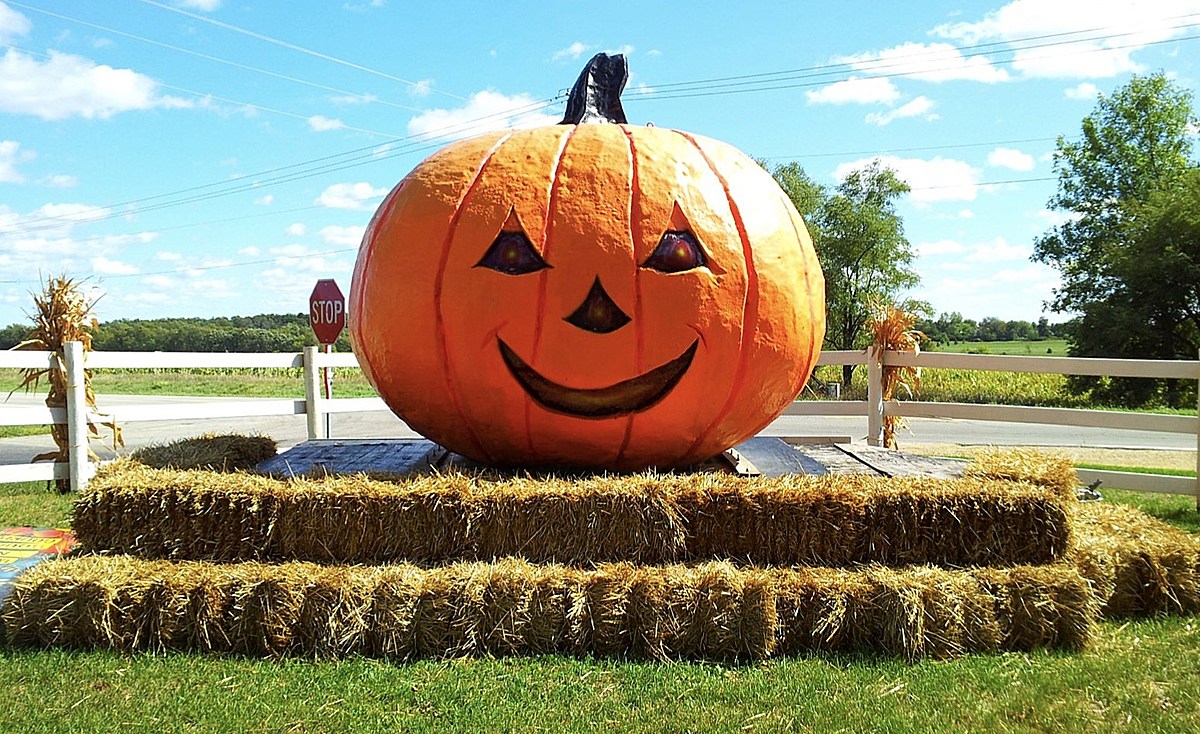 fall, attractions, pumpkin patches, northern illinois, caledonia, covid-19,...