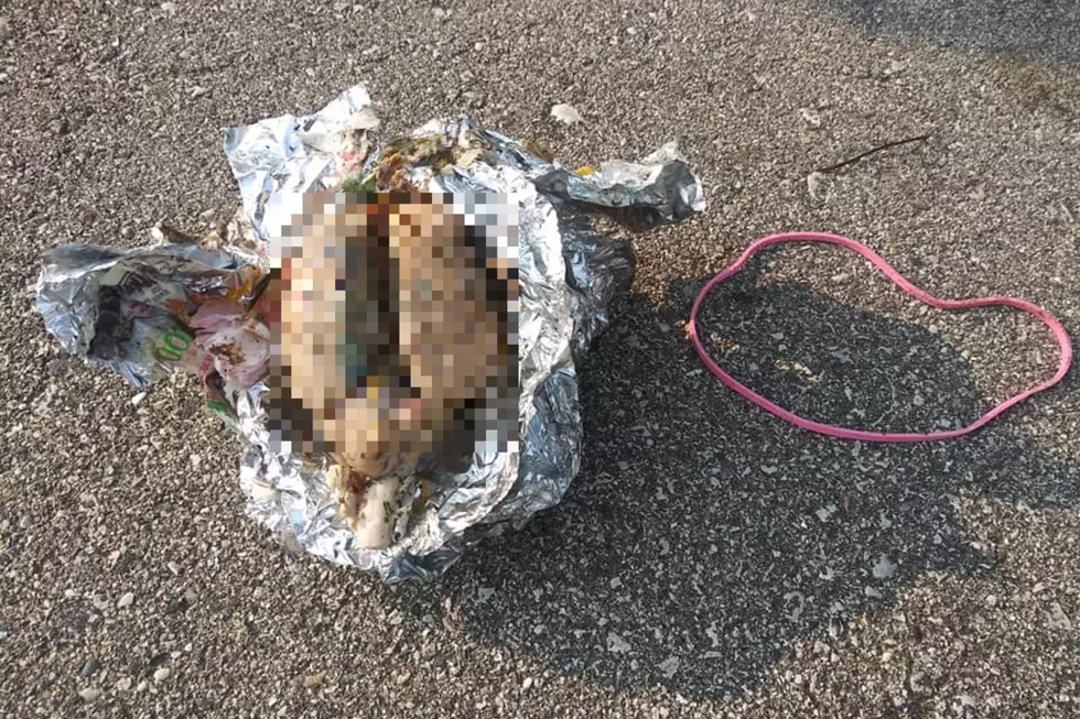 Wisconsin Man Thinks He Found a Human Brain Wrapped in Tin Foil