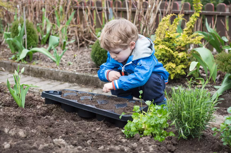 Rockford Lowe&#8217;s Is Giving Away Free Gardening Kits Every Week in April