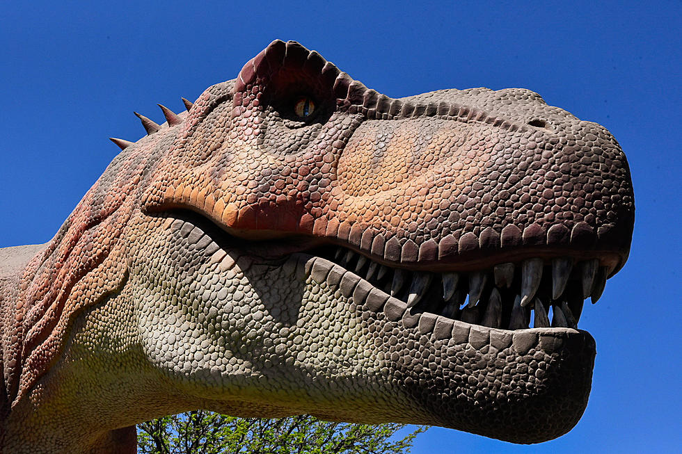 Take the Family On A Dinosaur Hunt at Chicago&#8217;s Brookfield Zoo