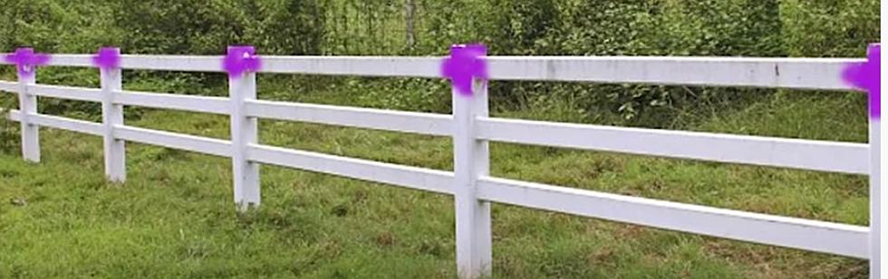 Beware When You See A Purple Fence Post in Illinois