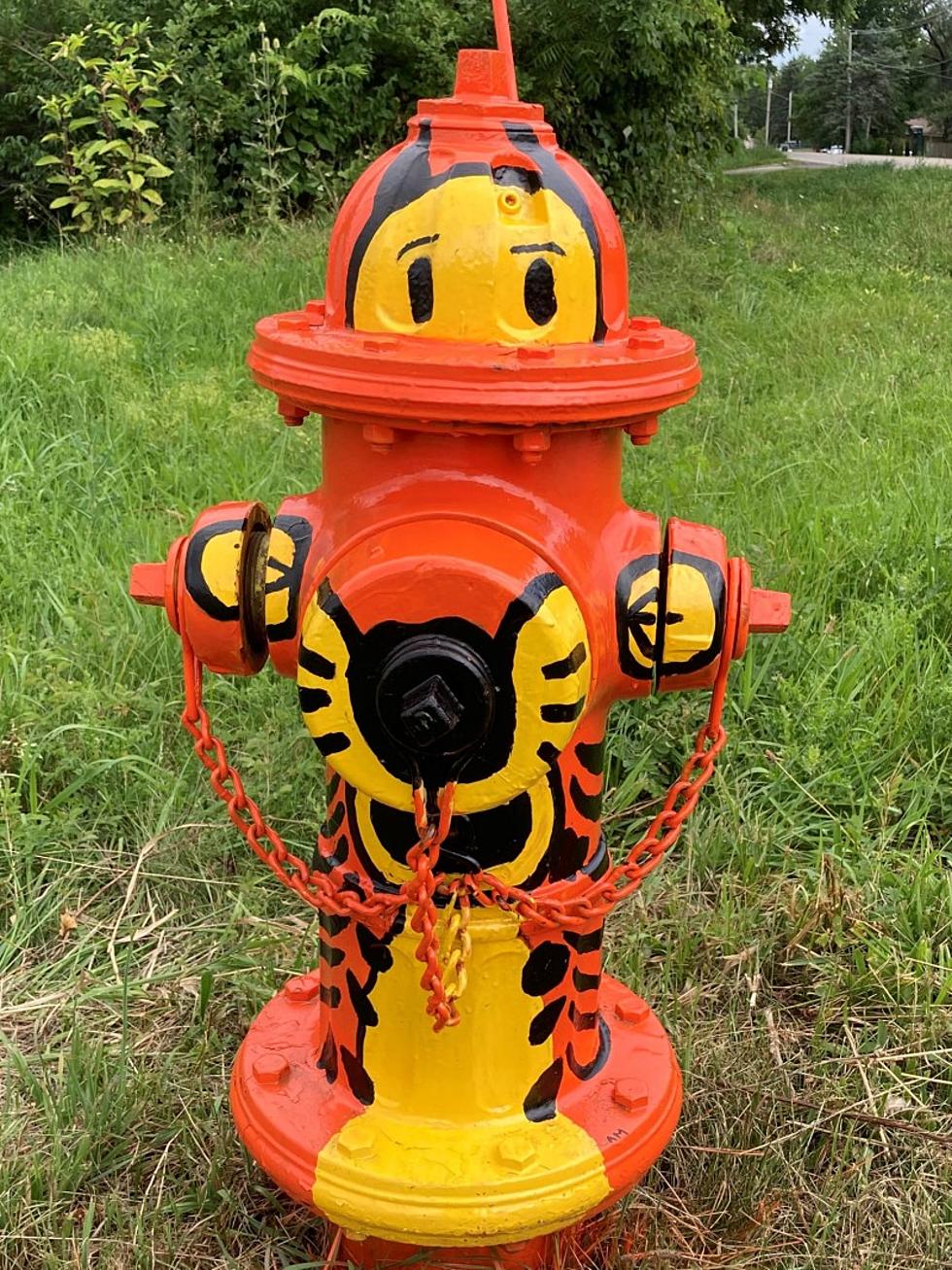Have You Seen These Cool, Painted Fire Hydrants in Cherry Valley?