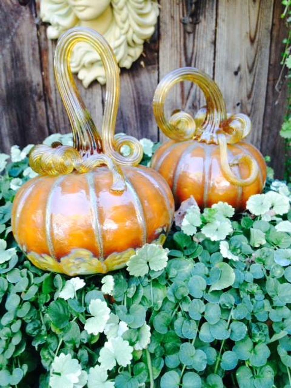 The One of a Kind Glass Pumpkin Patch in Illinois You Have to See This October
