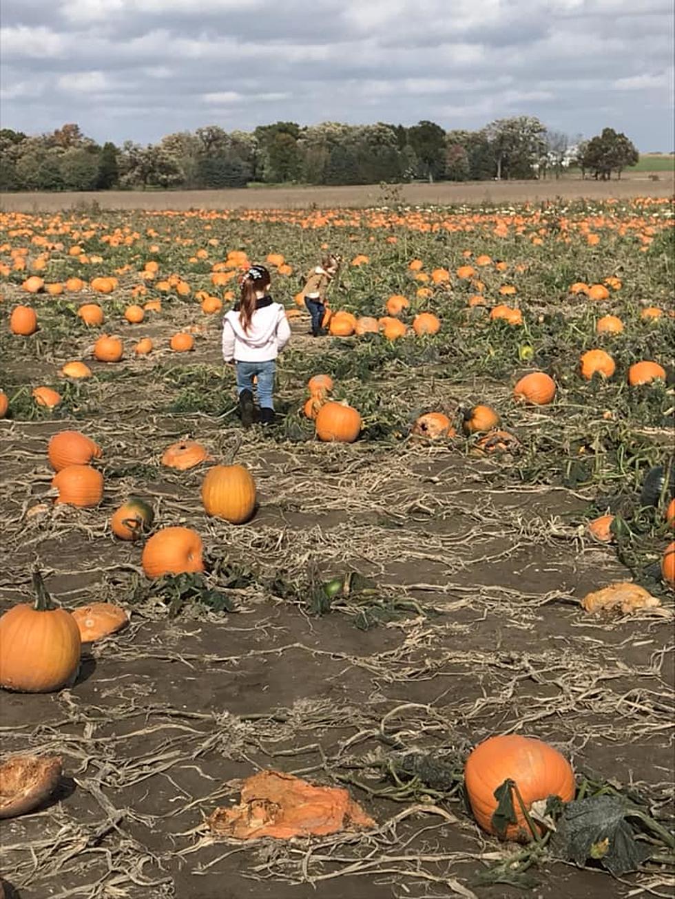 A Northern Illinois Fall Favorite Is Kicking Off Their Homegrown Fun Next Weekend