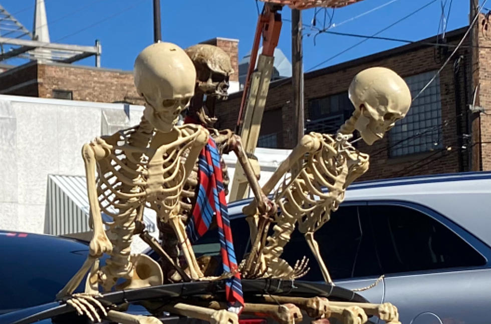 Bone-Covered Car in Illinois Will Stop You Dead In Your Tracks