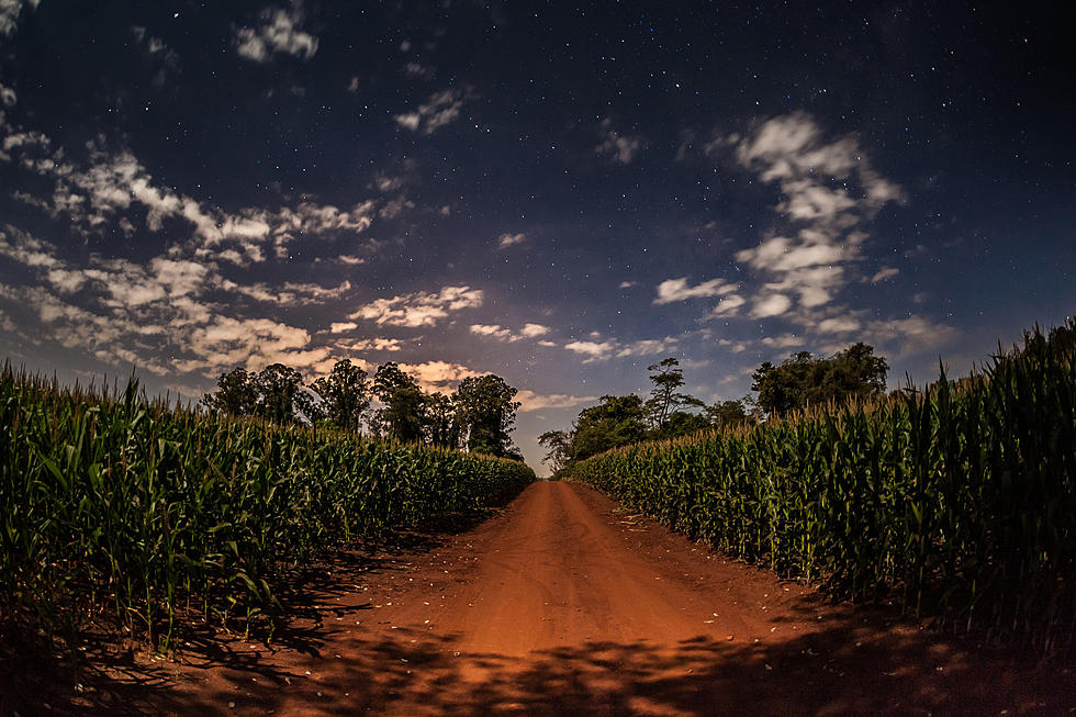 This Haunted Corn Maze in Illinois Is Not for the Faint of Heart