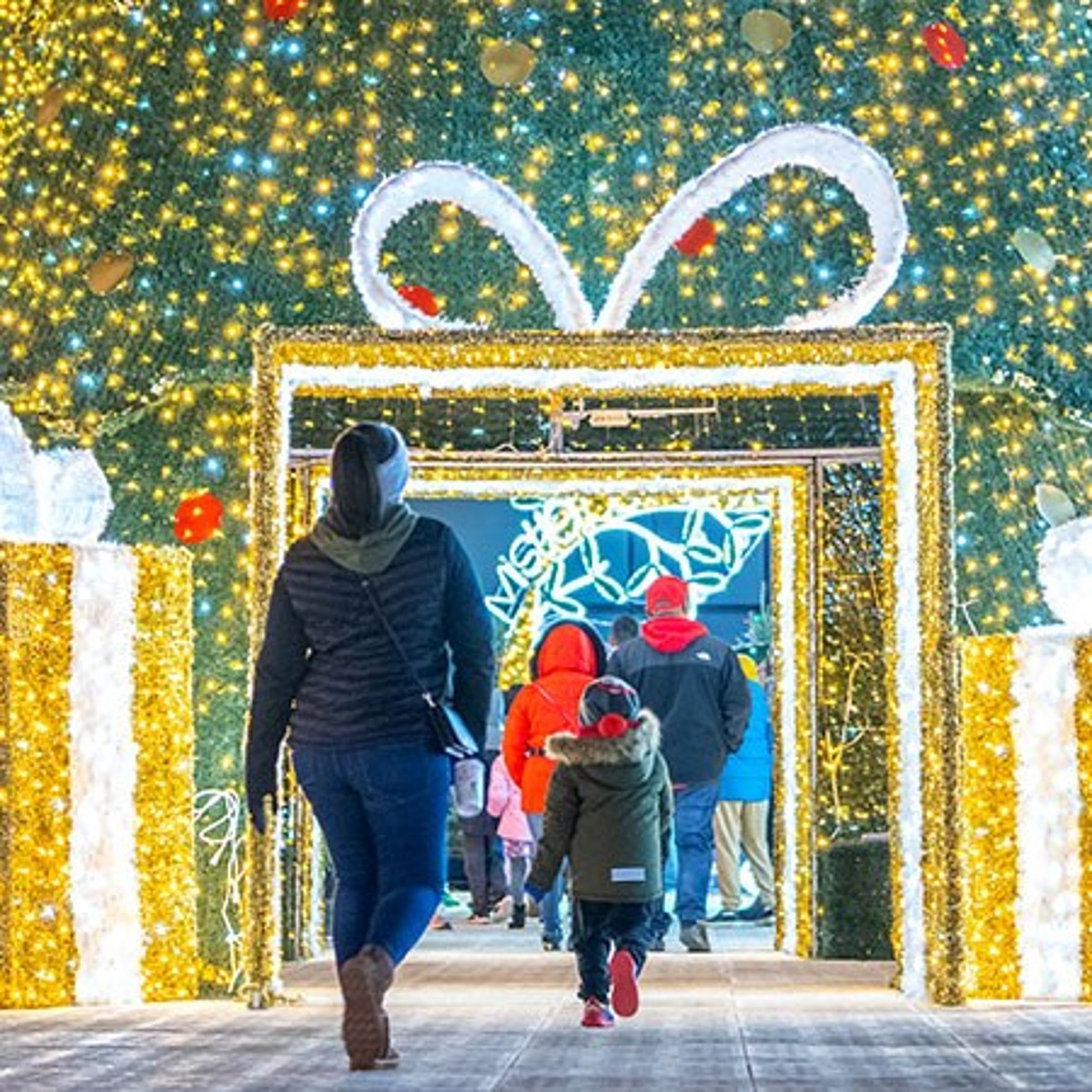 Illinois New Light Festival will amaze all your holiday senses Fort
