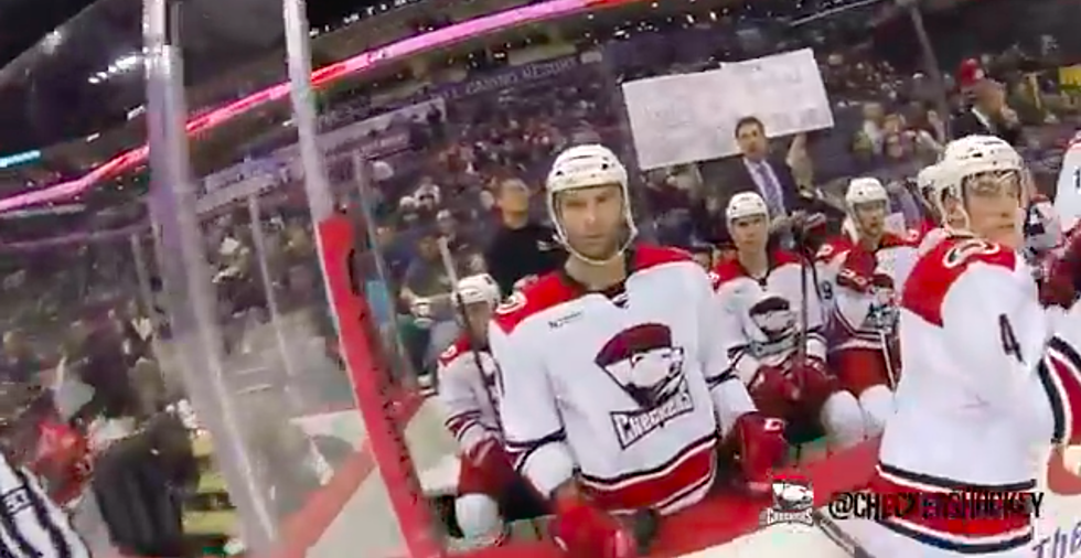 Rockford Icehogs fans petition to bring back original Hammy