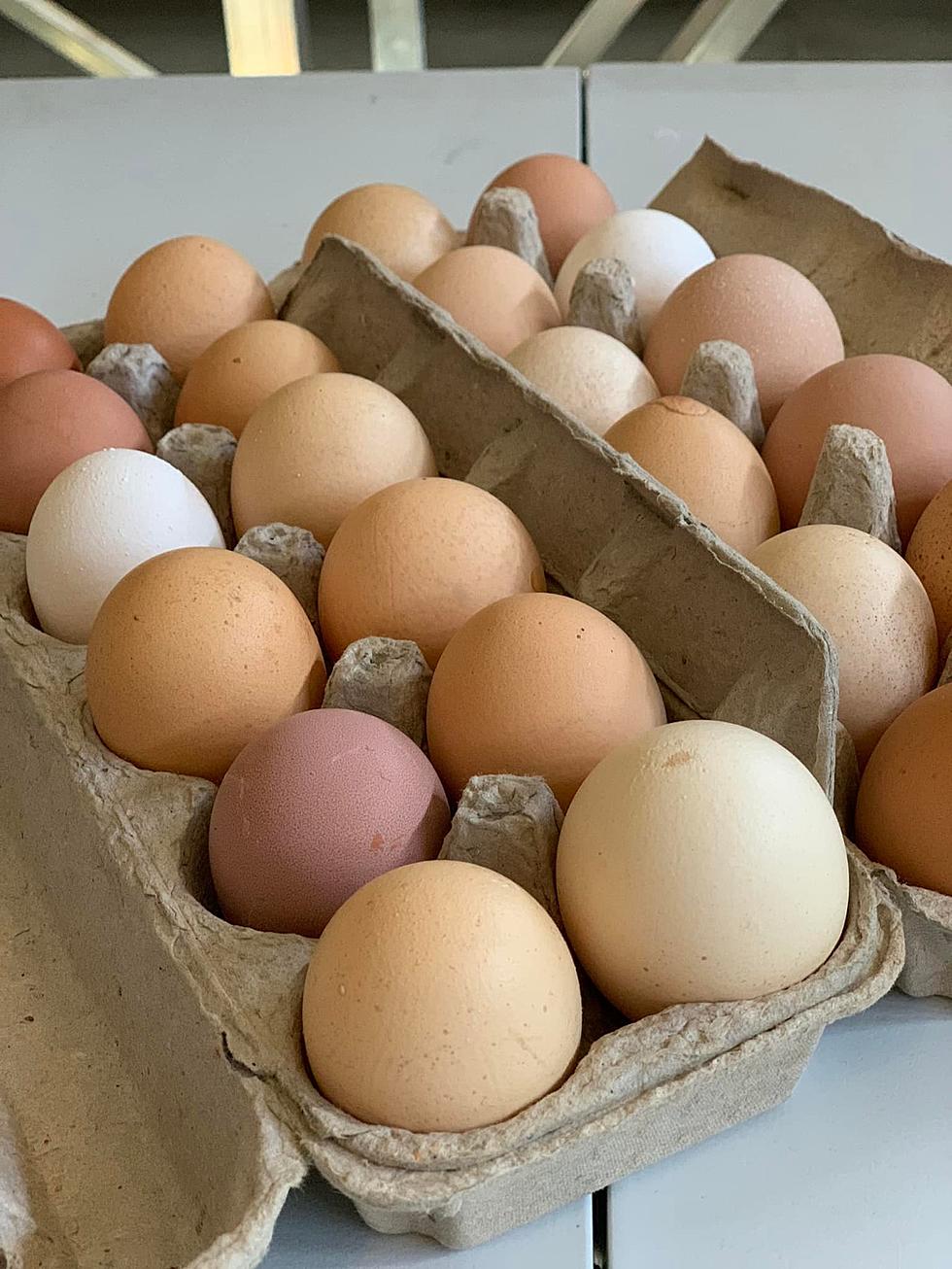 One Illinois Family Is Putting All Their Eggs In St. Jude’s Basket