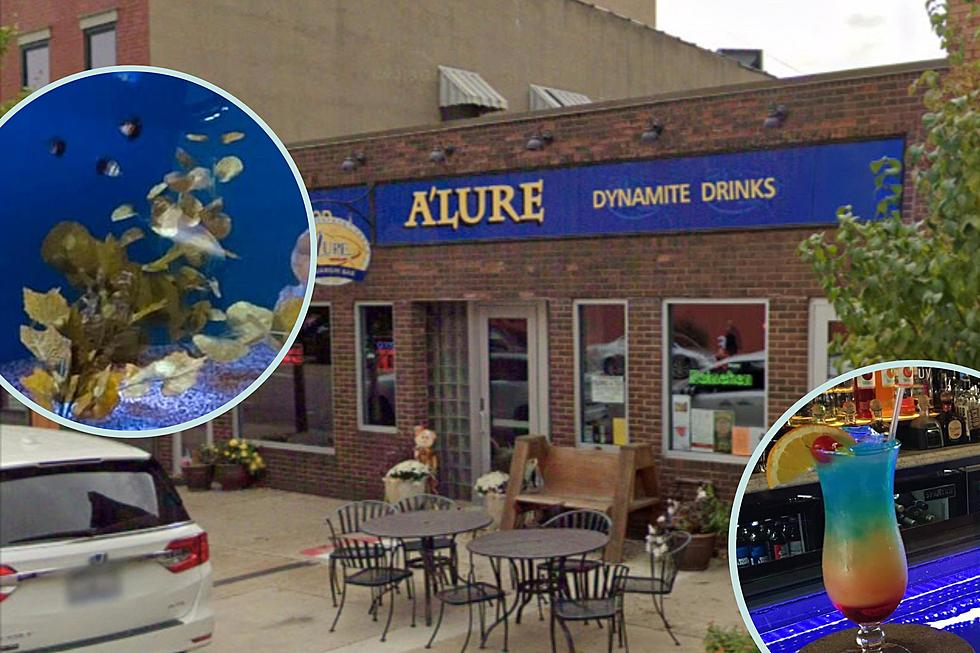 Schnazzy Bar in Illinois Also Serves As An Aquarium, It’s Pretty Neat