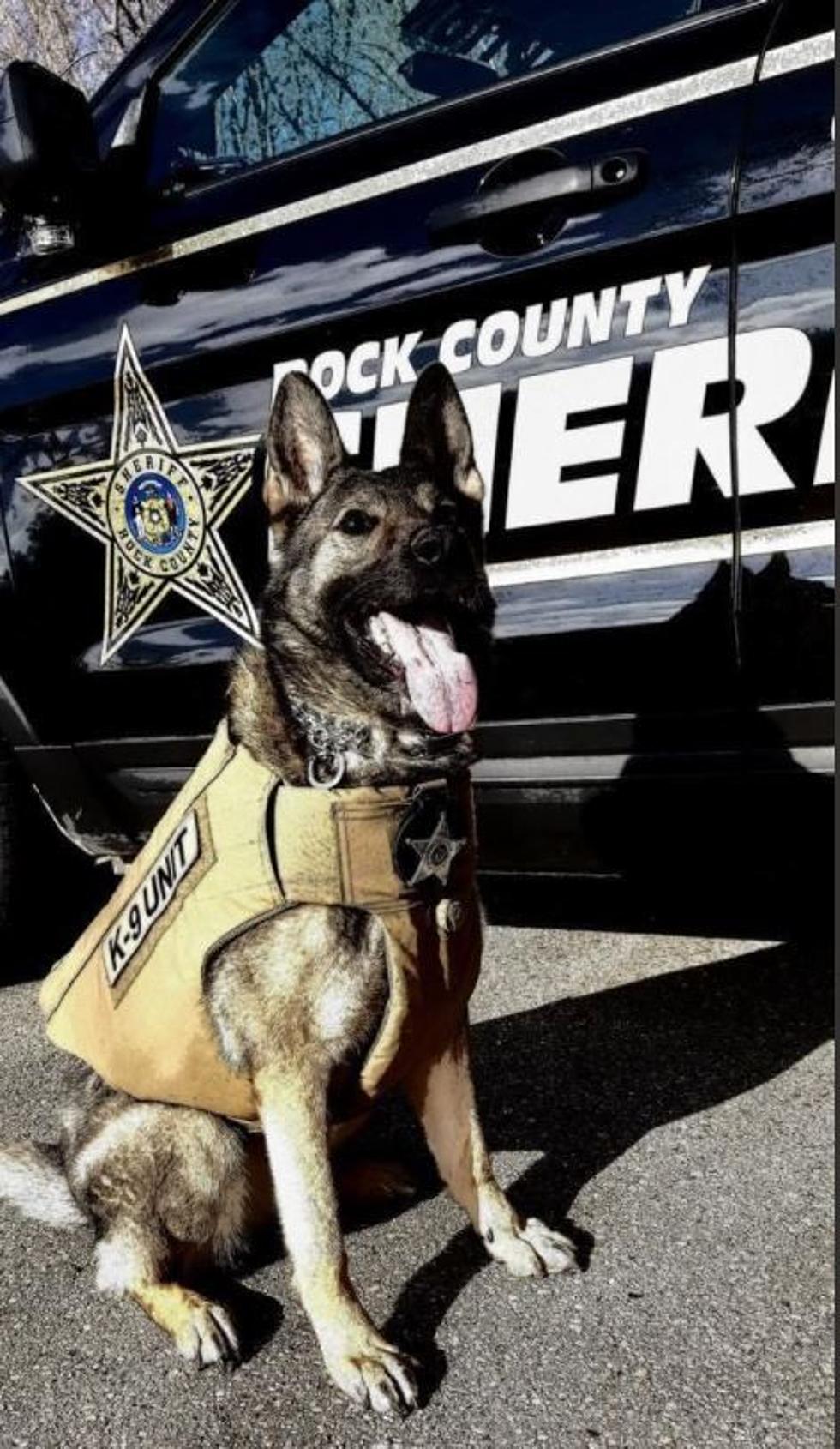 Loyal Wisconsin K9 Honored For Exceptional Service During Her Career