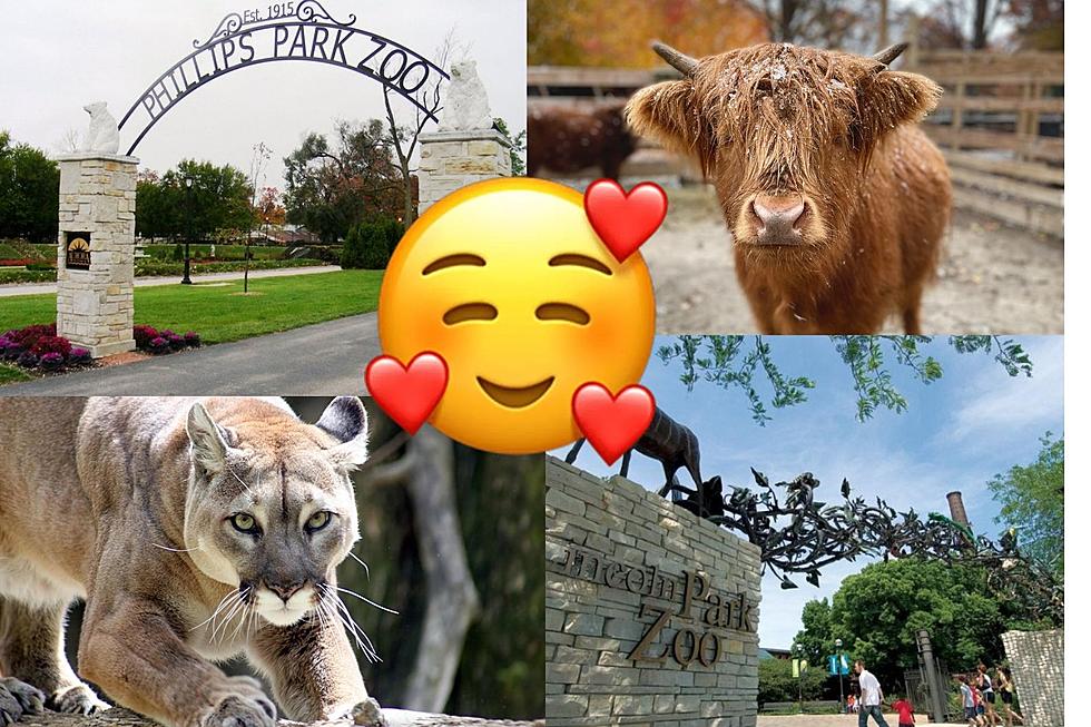 Did You Know Illinois Has TWO Free Zoos You Can Visit This Summer?