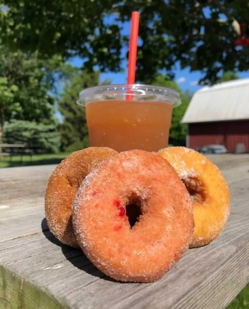 Forget Fall, Fulfill Your Cider Donut Cravings At One Illinois Orchard This Summer