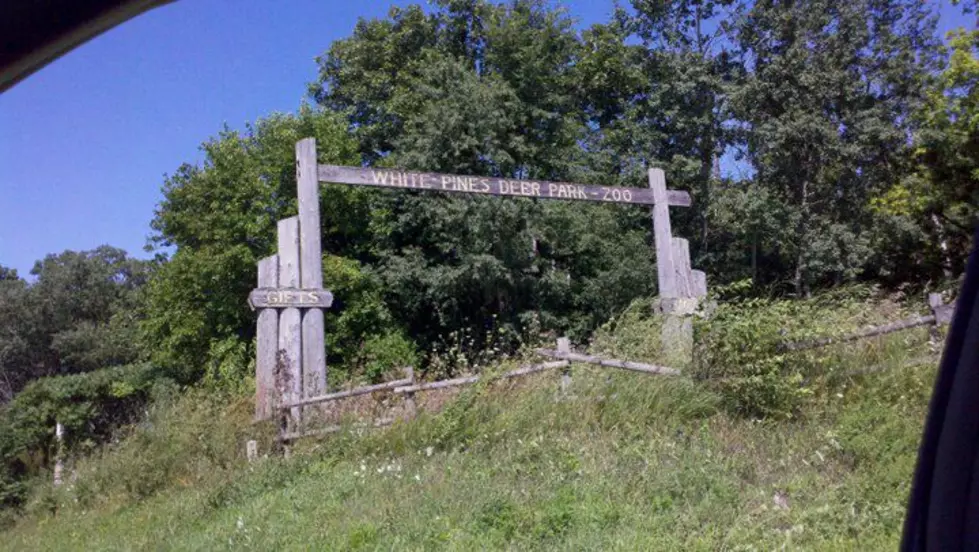 Gentle, Serene Days Are Long Gone At This Abandoned Wildlife Park in Illinois