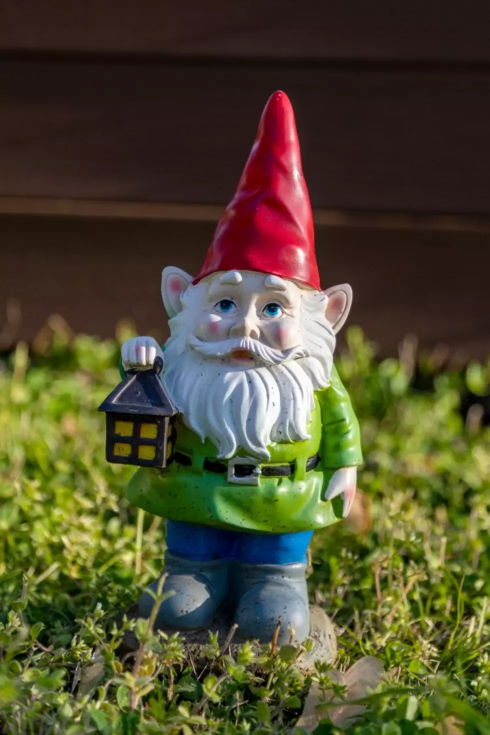 Did You Know There Is a Tiny Town in Illinois That Is Obsessed With Gnomes?