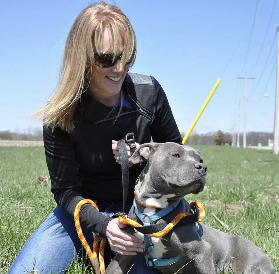 Illinois Woman Makes It Her Mission to Save Pets and Families In Need