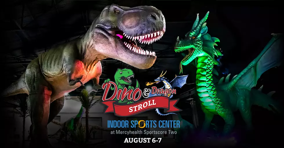 Dino & Dragon Stroll via Facebook