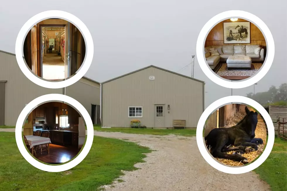 Unique Airbnb in Illinois Lets You Enjoy a Full Farm Experience