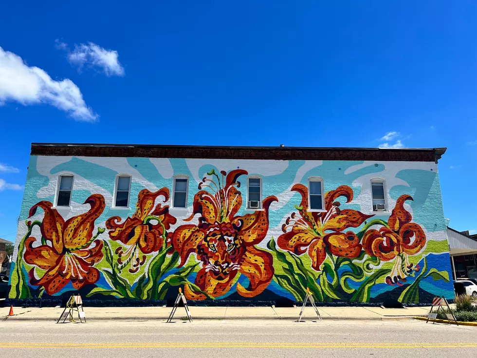 Can You Spot All The Hidden Messages In Byron, Illinois&#8217; New Massive Mural?