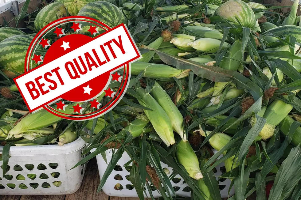 The Most Recommended Places To Buy Sweet Corn In Northern Illinois