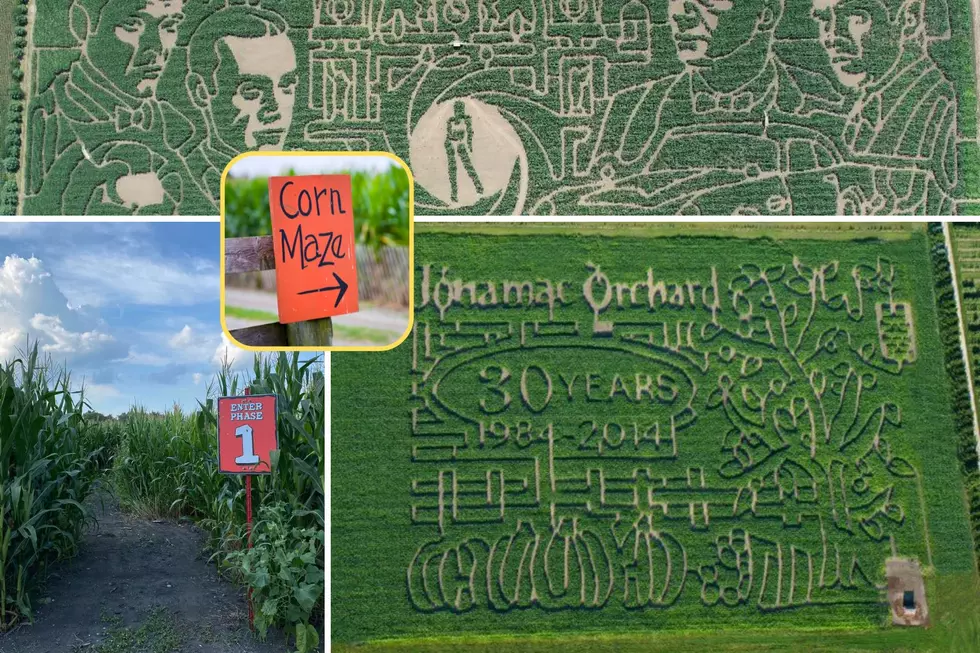 4 of Illinois’ Best Corn Mazes You Need to Get Lost in This Fall