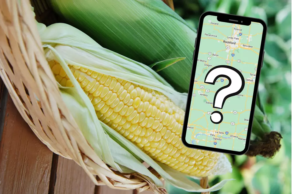 Where Can You Buy The Best Sweet Corn In Northern Illinois?