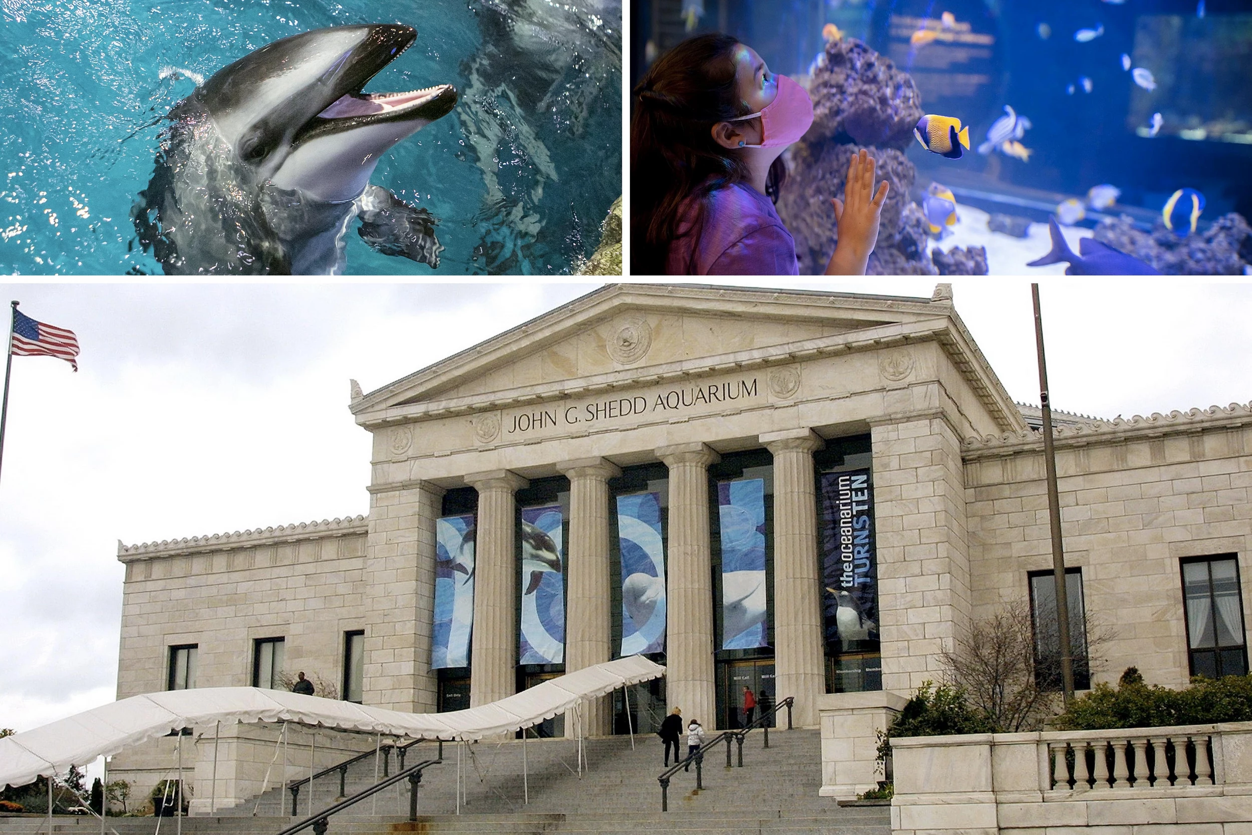 2023 Illinois Resident Free Days at Shedd Aquarium