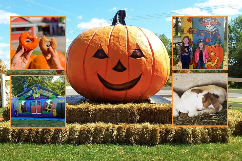 One of Illinois’ Favorite Pumpkin Patches Is Kicking Off Its 2022 Season This Week