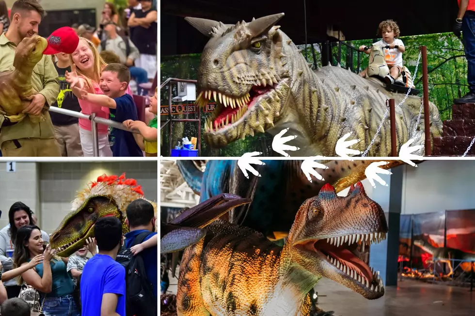 A Massive Dinosaur Experience Will Take Over 2 Illinois Cities Next Month