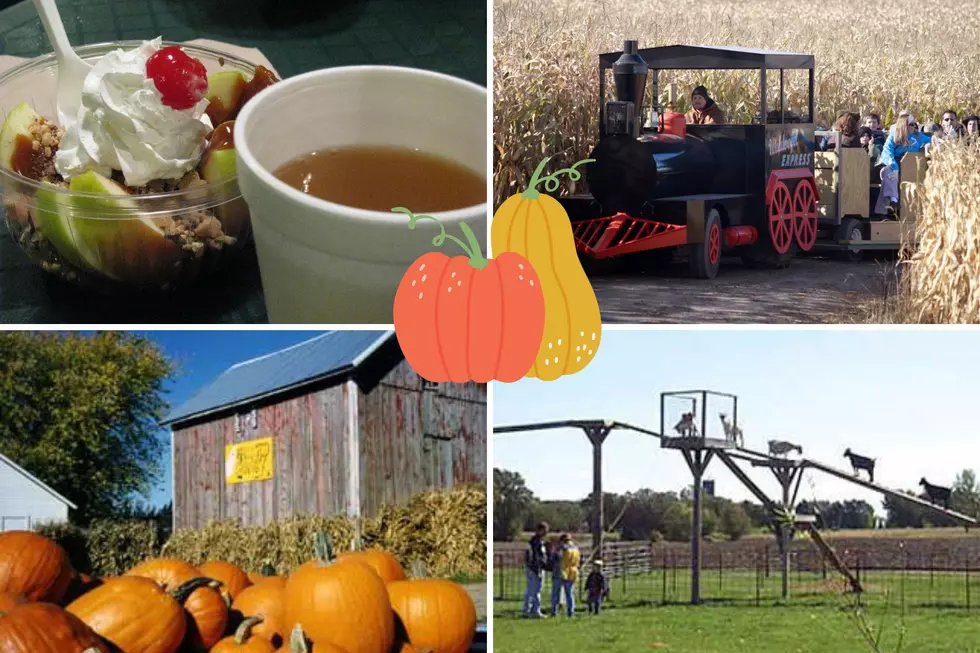 Wisconsin&#8217;s Largest Pumpkin Farm Is Ready to Delight Your Entire Family
