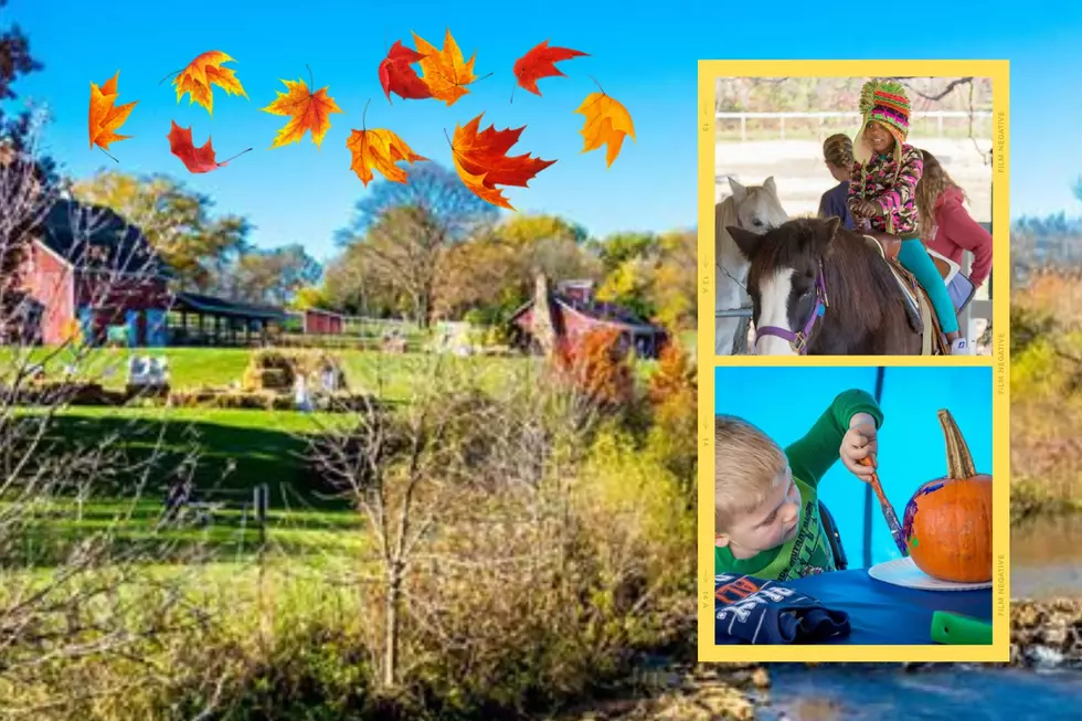 Fall Farm Events in Illinois