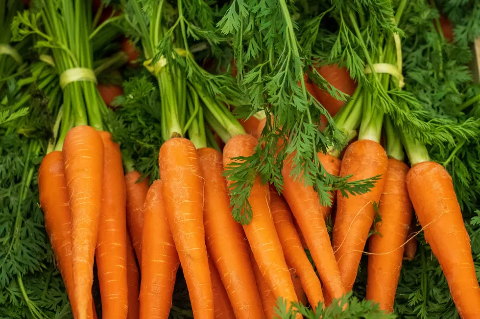 Did You Know You Can Still Enjoy Garden Fresh Carrots During the Winter in Illinois?