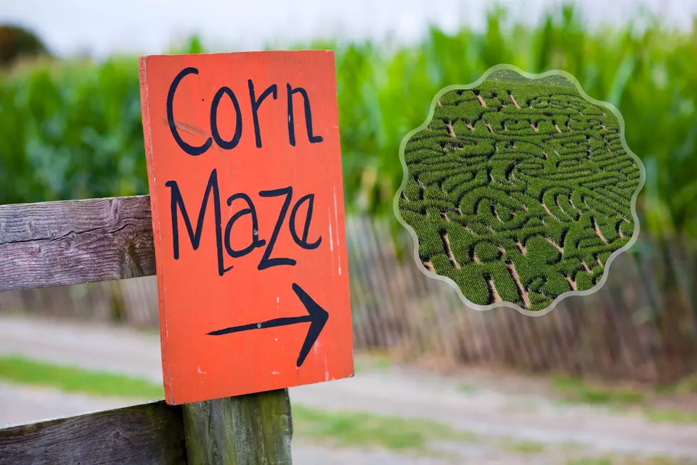 Illinois Corn Maze Pays Tribute To America And Supports Ukraine
