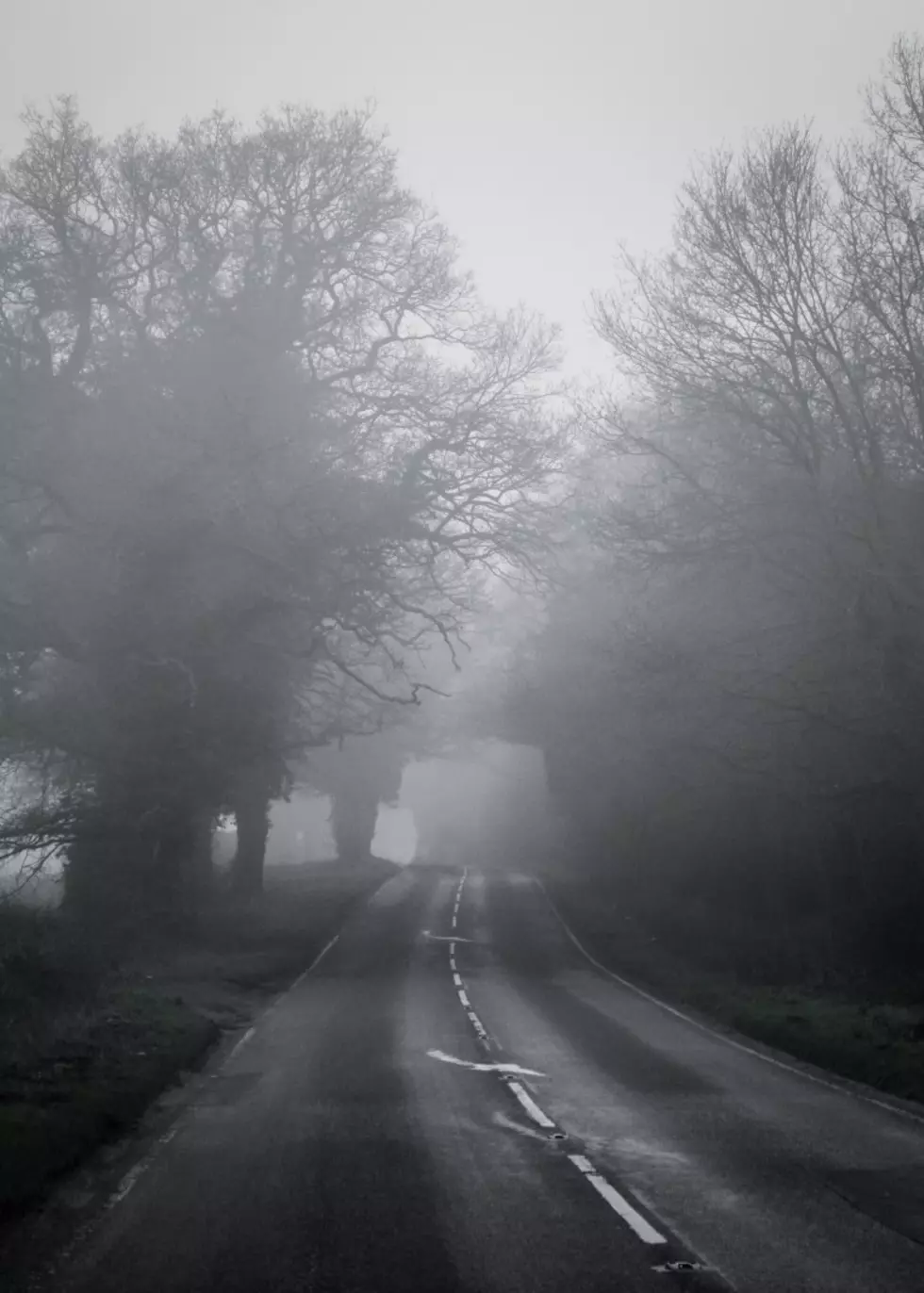 Illinois' Creepiest Roads