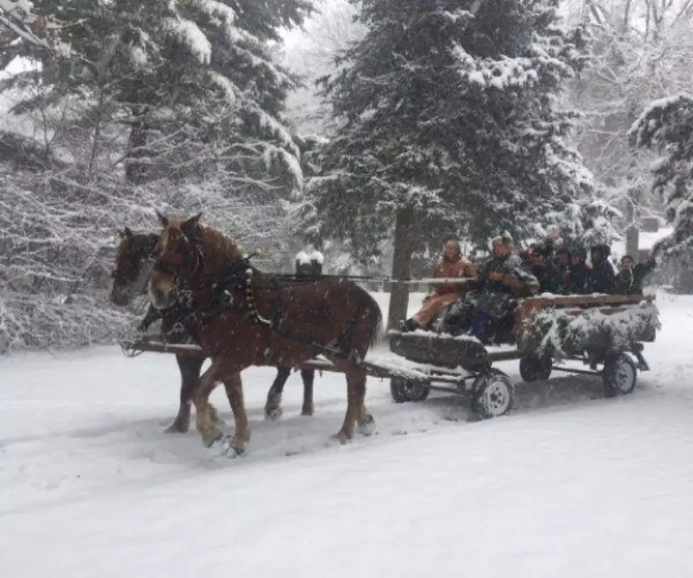 Take a Horse Drawn Wagon Ride at White Pines Lodge 