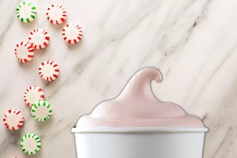 Illinois Wendy's Will Debut a New Peppermint Frosty Next Week!