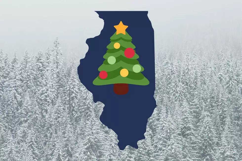 This Recipe Apparently Keeps Your Real Illinois Christmas Tree Fresh