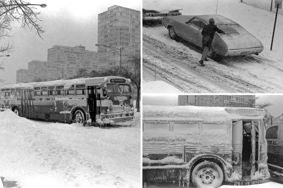 The Biggest Snow Storm In Illinois History Caused Damage And Disruption