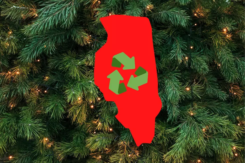 Is It Illegal in Illinois to Toss Your Christmas Tree in Trash?