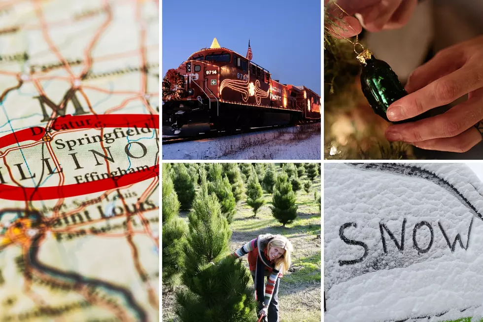 If You Partake In These 6 Christmas Activities You&#8217;re Definitely From Illinois
