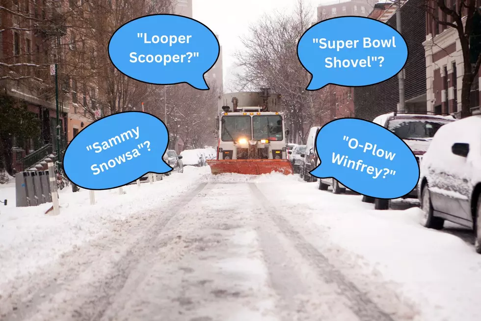 Funny Illinois Snowplow Names