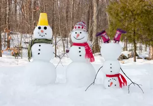 10 Wisconsin Winter Activities