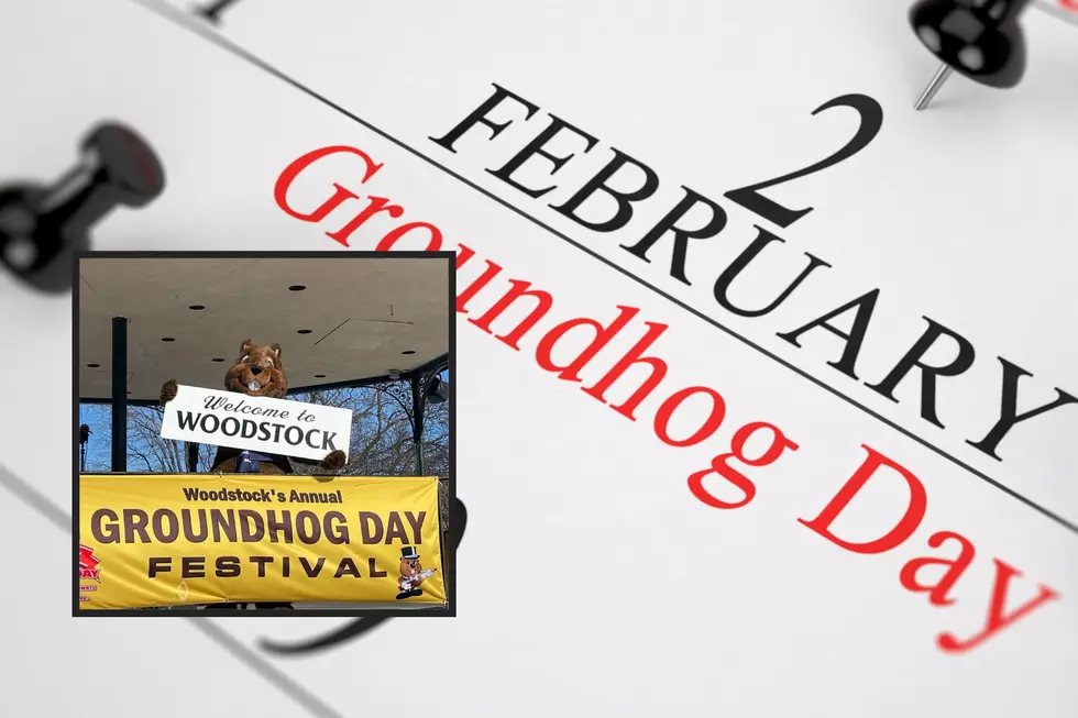 How Did Groundhog Day Become Such a Big Deal in Illinois?