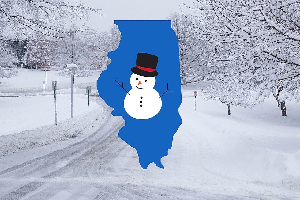 Winter Storm May Dump 5+ Inches of Snow on Illinois This Weekend