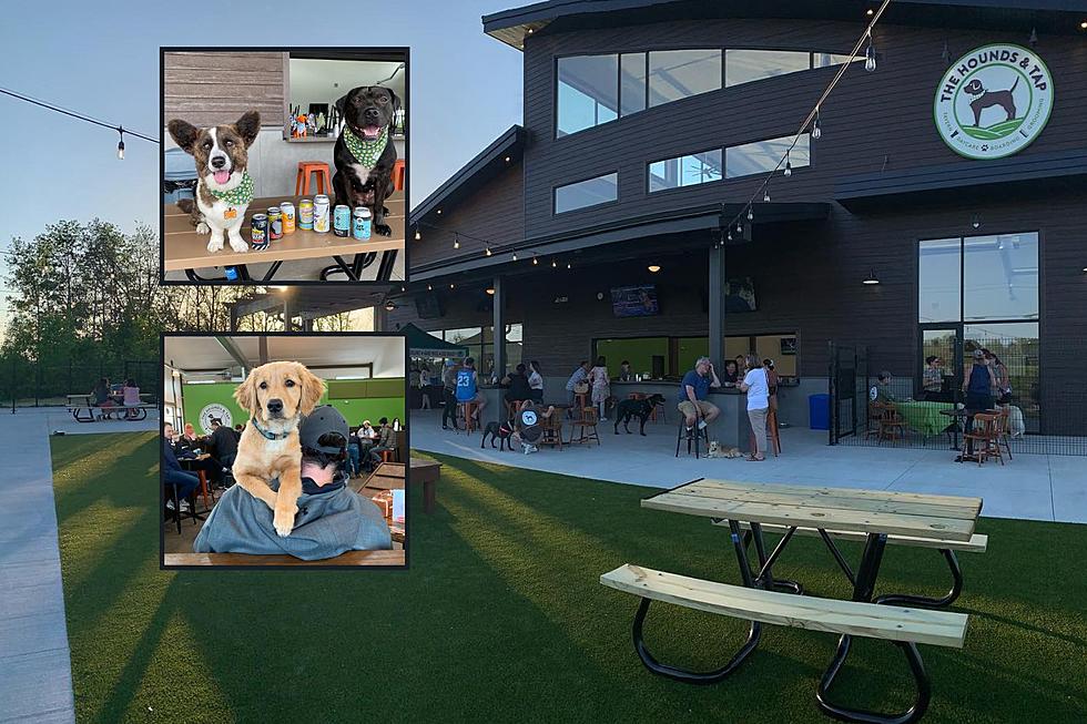 Unique Dog-Friendly Bar in Wisconsin