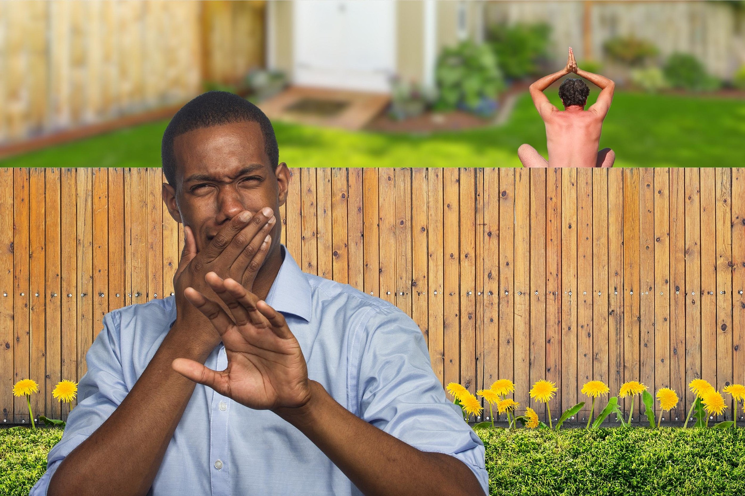 It Is Legal To Be Naked In Your Own Backyard In Illinois? pic